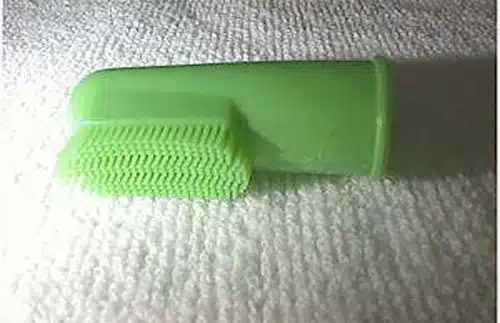 Kỹ thuật làm đẹp cơ bản cho thú cưng tại nhà 5 lam-dep-thu-cung-2