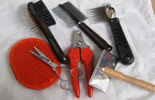 Kỹ thuật làm đẹp cơ bản cho thú cưng tại nhà 4 Kỹ thuật làm đẹp cơ bản cho thú cưng tại nhà