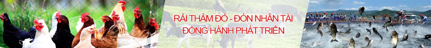 Banner-vieclamchannuoi