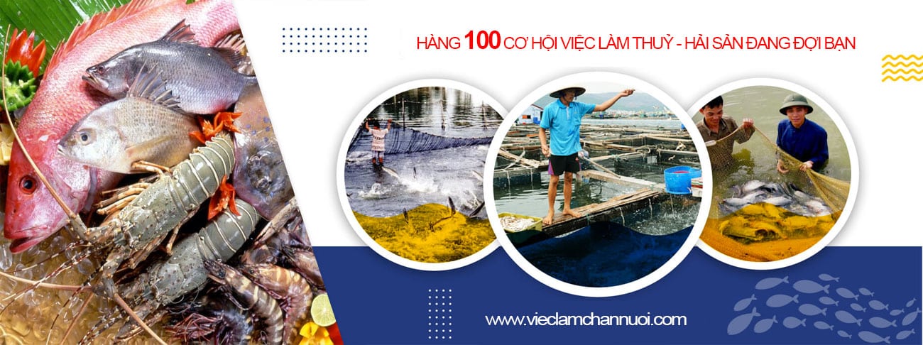 Trang chủ 47 viec lam chan nuoi 3