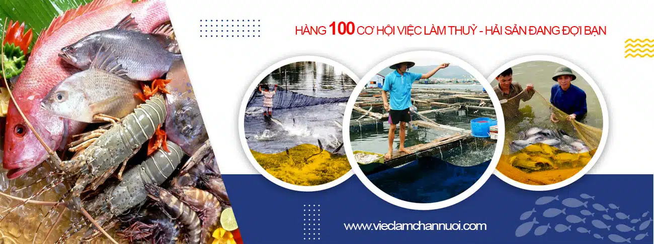 viec lam chan nuoi 3