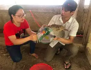 mo-hinh-nuoi-chim-tri