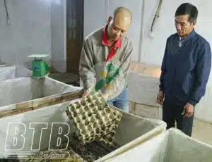 nuoi-de-chat-luong-cao