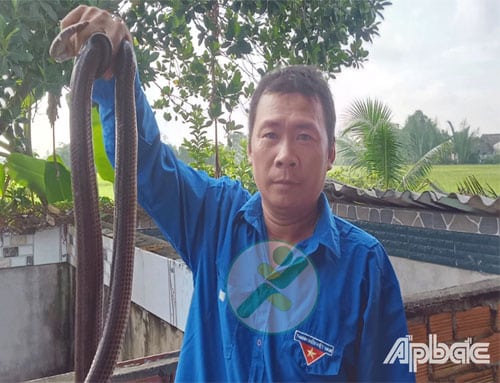 Hiệu quả kinh tế từ nuôi trăn, rắn 1 nuoi-tran-thit