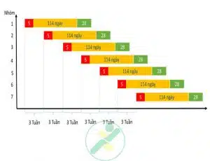 quản-lý-heo-nái-đẻ