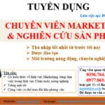 Chuyên viên Marketing và Nghiên cứu sản phẩm 1 Sunjin Vina Miền Nam