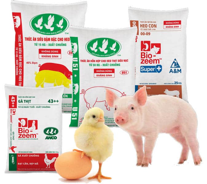 Công ty Cổ Phần Dinh Dưỡng Nông Nghiệp Quốc Tế (ANCO) 2 Thuc an chan nuoi Anco
