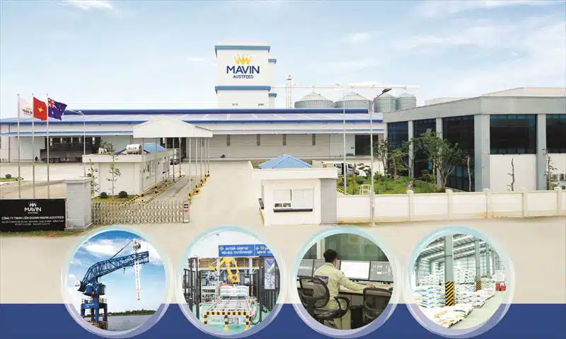 Công ty Liên doanh Austfeed - Tập đoàn Mavin 1 cong ty Austfeed