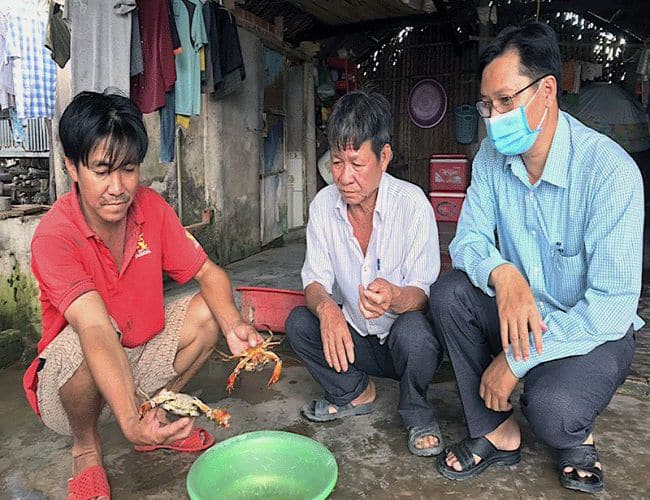 Khắc phục tình trạng cua chết bất thường ở Cà Mau 2 cua chet o Ca Mau 1