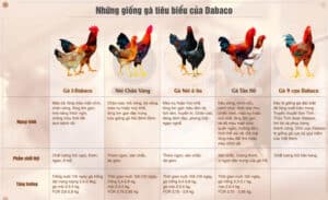 Tập đoàn DABACO Việt Nam 2 ga cua Dabaco