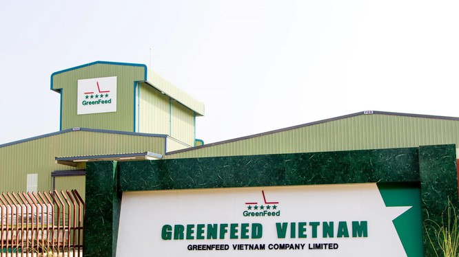 Công ty Cổ phần GREENFEED Việt Nam 1 công ty cổ phần greenfeed việt nam