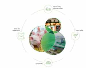 Công ty Cổ phần GREENFEED Việt Nam 3 greenfeed