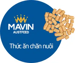 mavin 1
