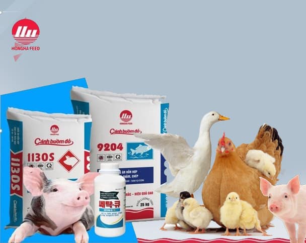 Công ty Cổ phần dinh dưỡng Hồng Hà 2 mot so san pham cua Hong Ha