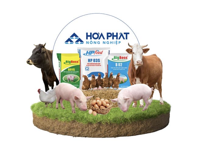 Công ty CP Phát triển Nông nghiệp Hòa Phát 4 san pham cong ty nong nghiep Hoa Phat