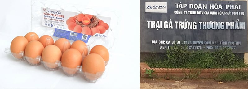 Công ty CP Phát triển Nông nghiệp Hòa Phát 3 trai trung ga Hoa Phat
