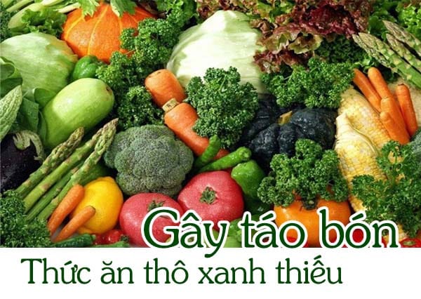 Heo nái bị táo bón, nguyên nhân và cách phòng tránh 3 Nguyên nhân gây táo bón ở heo nái