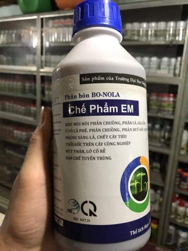 Cách khử mùi hôi ở chuồng heo cực kỳ hiệu quả, an toàn 2 Phuơng pháp để xử lý mùi hôi khó chịu của chuồng nuôi heo