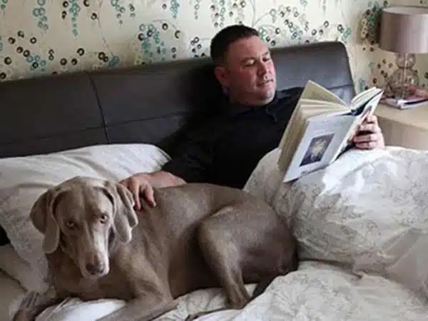 Có nên cho chó ngủ chung phòng hoặc ngủ chung với người? 5 cho ngu chung giuong 4