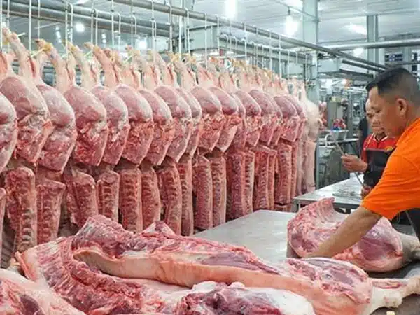 Giá Thịt Heo Bao Giờ Tăng Trở Lại? 6 gia thit heo hoi