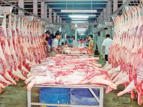 Giá Thịt Heo Bao Giờ Tăng Trở Lại? 4 gia thit heo hom nay