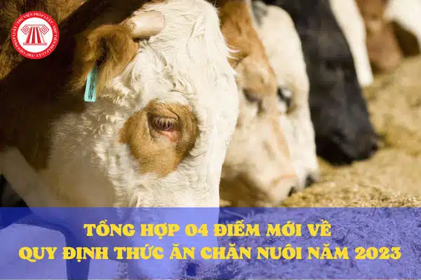 tonghop 4 diem 4