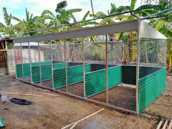 +100 Mẫu Thiết kế Chuồng Gà Đơn Giản Đẹp năm 2024 55 99 mẫu chuồng gà đơn giản, khoa học, đẹp và tiết kiệm chi phí.