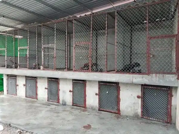 +100 Mẫu Thiết kế Chuồng Gà Đơn Giản Đẹp năm 2024 57 99 mẫu chuồng gà đơn giản, khoa học, đẹp và tiết kiệm chi phí.