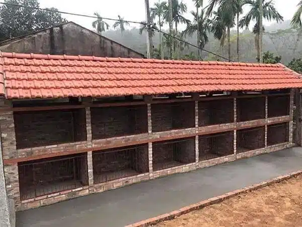 +100 Mẫu Thiết kế Chuồng Gà Đơn Giản Đẹp năm 2024 67 99 mẫu chuồng gà đơn giản, khoa học, đẹp và tiết kiệm chi phí.