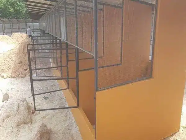 +100 Mẫu Thiết kế Chuồng Gà Đơn Giản Đẹp năm 2024 69 99 mẫu chuồng gà đơn giản, khoa học, đẹp và tiết kiệm chi phí.