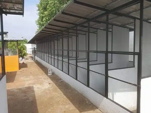 +100 Mẫu Thiết kế Chuồng Gà Đơn Giản Đẹp năm 2024 70 99 mẫu chuồng gà đơn giản, khoa học, đẹp và tiết kiệm chi phí.