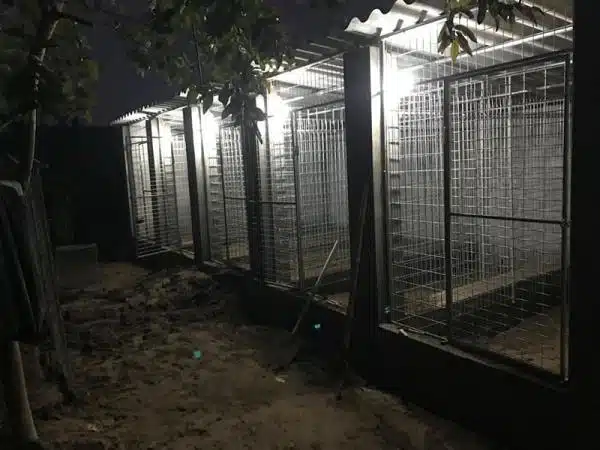 +100 Mẫu Thiết kế Chuồng Gà Đơn Giản Đẹp năm 2024 73 99 mẫu chuồng gà đơn giản, khoa học, đẹp và tiết kiệm chi phí.