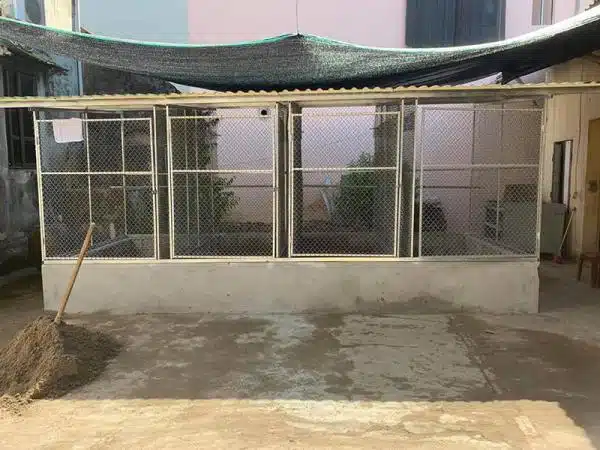 +100 Mẫu Thiết kế Chuồng Gà Đơn Giản Đẹp năm 2024 74 99 mẫu chuồng gà đơn giản, khoa học, đẹp và tiết kiệm chi phí.