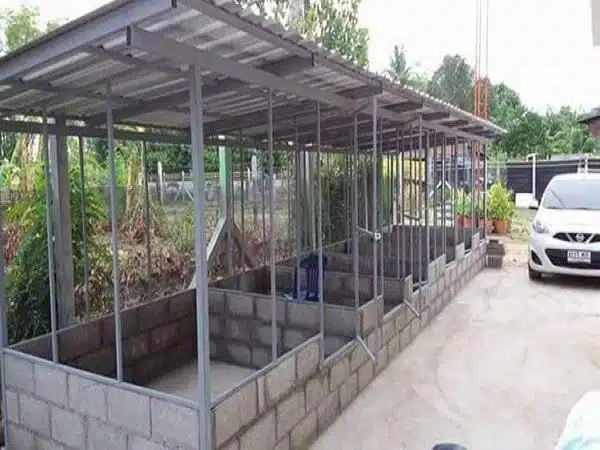 +100 Mẫu Thiết kế Chuồng Gà Đơn Giản Đẹp năm 2024 76 99 mẫu chuồng gà đơn giản, khoa học, đẹp và tiết kiệm chi phí.