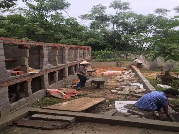 +100 Mẫu Thiết kế Chuồng Gà Đơn Giản Đẹp năm 2024 83 99 mẫu chuồng gà đơn giản, khoa học, đẹp và tiết kiệm chi phí.