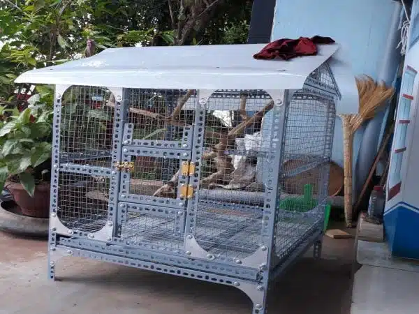 +100 Mẫu Thiết kế Chuồng Gà Đơn Giản Đẹp năm 2024 49 99 mẫu chuồng gà đơn giản, khoa học, đẹp và tiết kiệm chi phí.