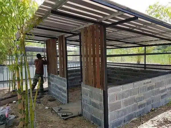 +100 Mẫu Thiết kế Chuồng Gà Đơn Giản Đẹp năm 2024 85 99 mẫu chuồng gà đơn giản, khoa học, đẹp và tiết kiệm chi phí.