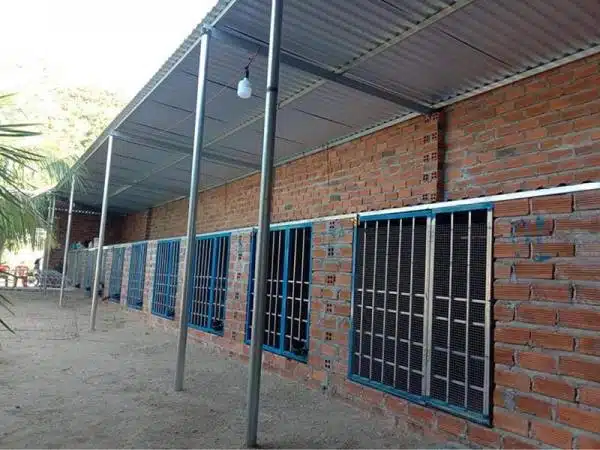 +100 Mẫu Thiết kế Chuồng Gà Đơn Giản Đẹp năm 2024 88 99 mẫu chuồng gà đơn giản, khoa học, đẹp và tiết kiệm chi phí.