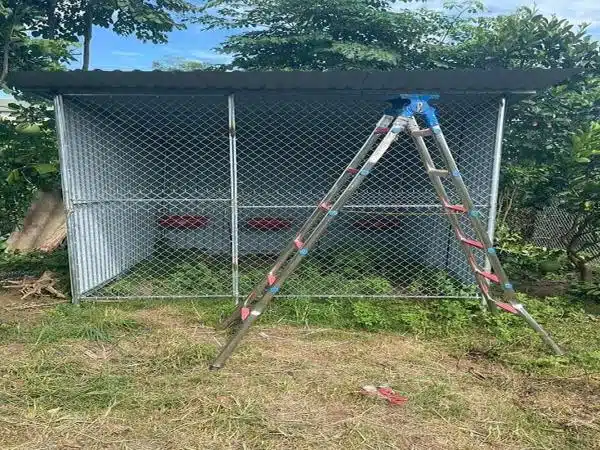 +100 Mẫu Thiết kế Chuồng Gà Đơn Giản Đẹp năm 2024 51 99 mẫu chuồng gà đơn giản, khoa học, đẹp và tiết kiệm chi phí.