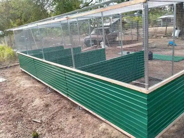 +100 Mẫu Thiết kế Chuồng Gà Đơn Giản Đẹp năm 2024 53 99 mẫu chuồng gà đơn giản, khoa học, đẹp và tiết kiệm chi phí.