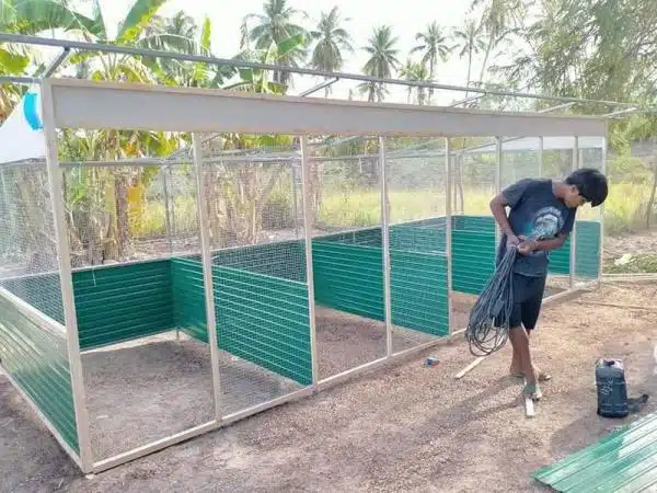 +100 Mẫu Thiết kế Chuồng Gà Đơn Giản Đẹp năm 2024 54 99 mẫu chuồng gà đơn giản, khoa học, đẹp và tiết kiệm chi phí.