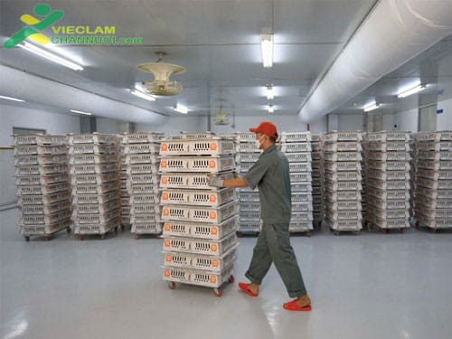 Japfa Việt Nam vận hành nhà máy ấp trứng gia cầm tại Đắk Lắk 2 may-ap-trung-2