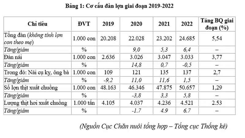 co cau dan lon 2019 2022