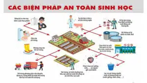 An toàn sinh học trong chăn nuôi