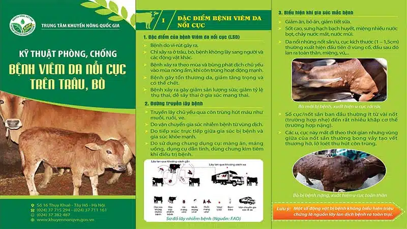 Phòng ngừa một số bệnh