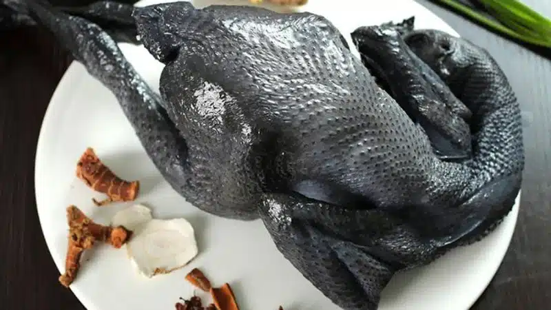 Tìm hiểu về giống gà ác: cân nặng, giá bán và kỹ thuật nuôi 5 Tìm hiểu về giống gà ác: cân nặng, giá bán và kỹ thuật nuôi